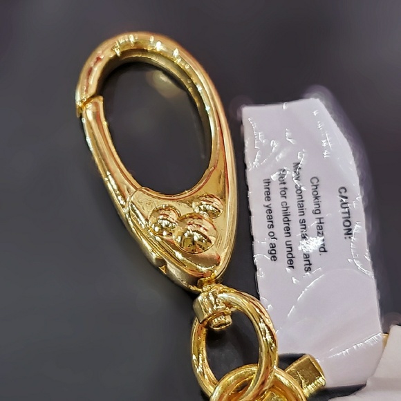 DISNEY PARKS IT'S A SMALL WORLD KEYCHAIN - Picture 4 of 4